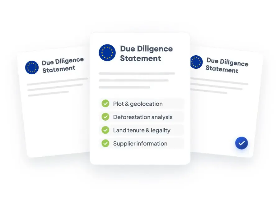 Automated DDS Report Builder